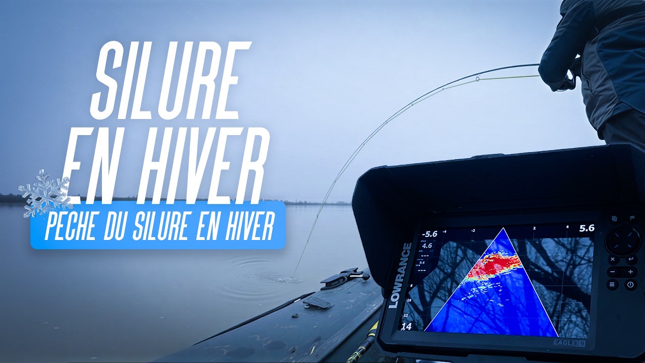 SILURE en HIVER - PECHE du SILURE en VERTICAL au LIVESCOPE