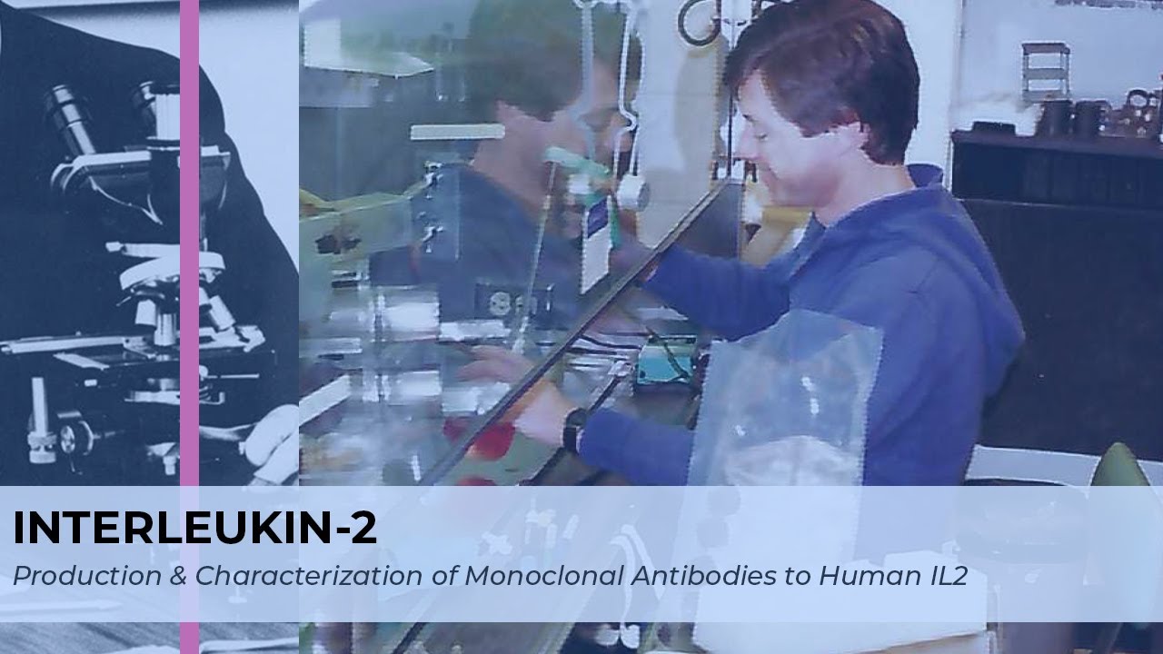 INTERLEUKIN-2: The Production & Characterization of Monoclonal Antibodies to Human IL2