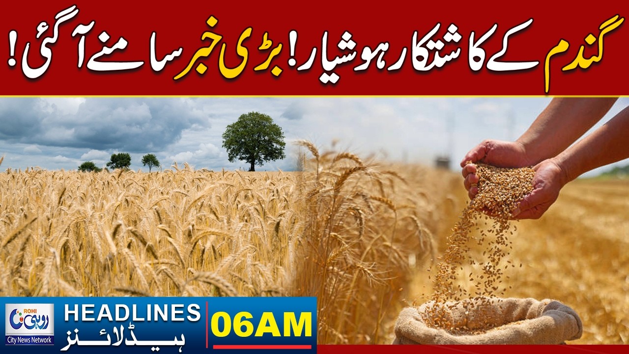 Wheat Farmers Beware! Big News Has Come Out! l 06AM  News Headlines l 06 April 2026 l Rohi