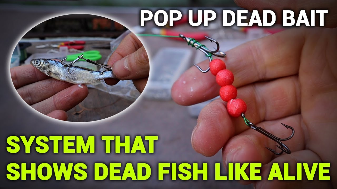 System That Shows Dead Fish Like Alive | Pop Up Dead Bait | How To Make Dead Bait Rigs For Pike
