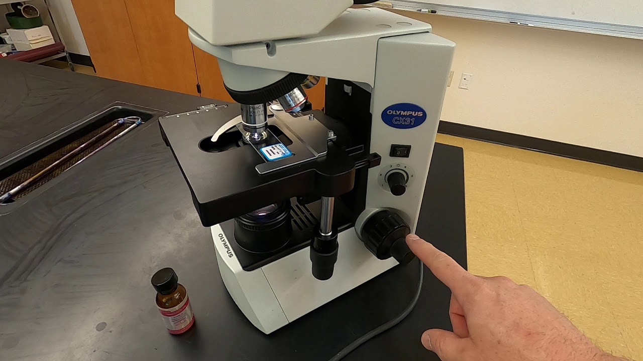 Oil Immersion