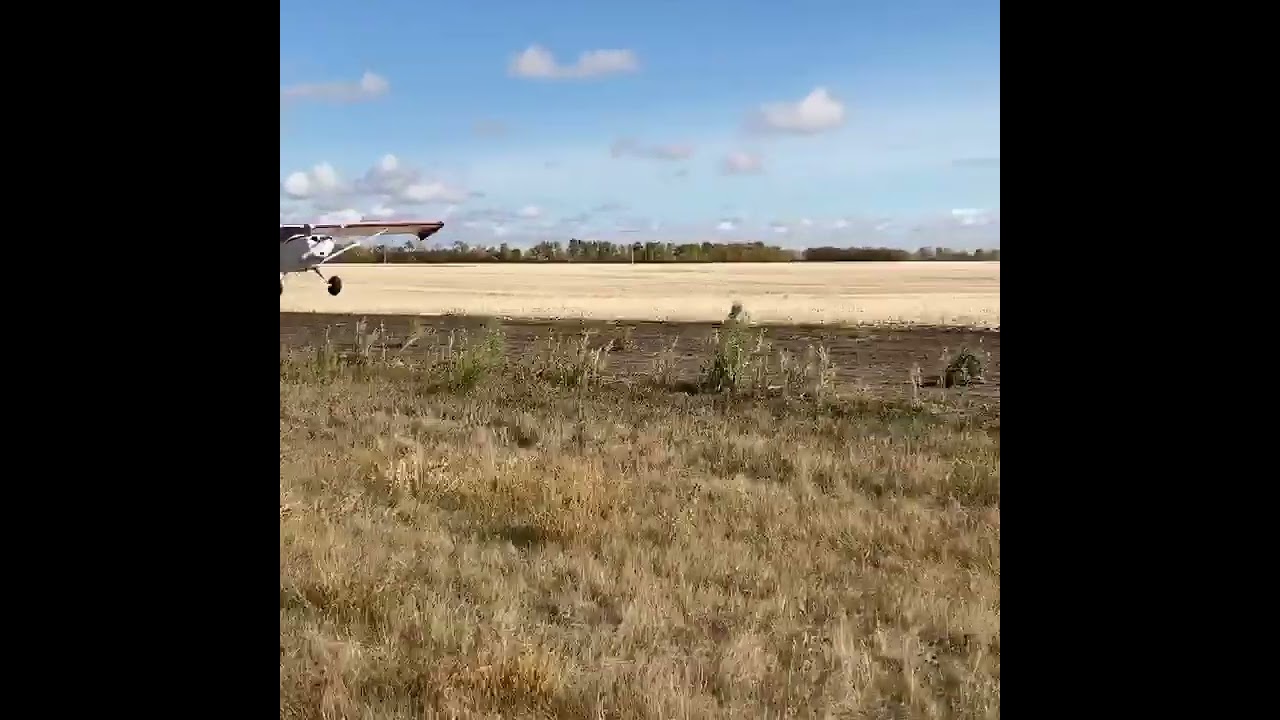 Short field take off in my Aeronca Chief.