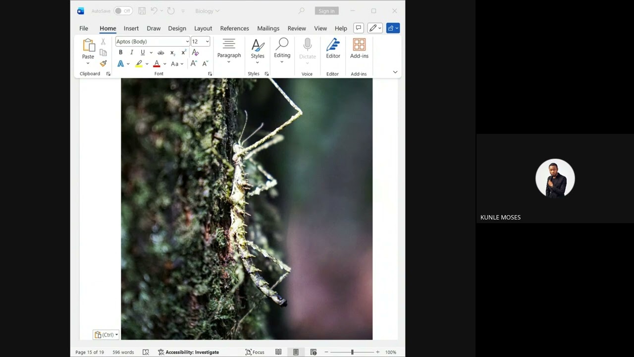 Biology session - Day 4 (18th February 2026)