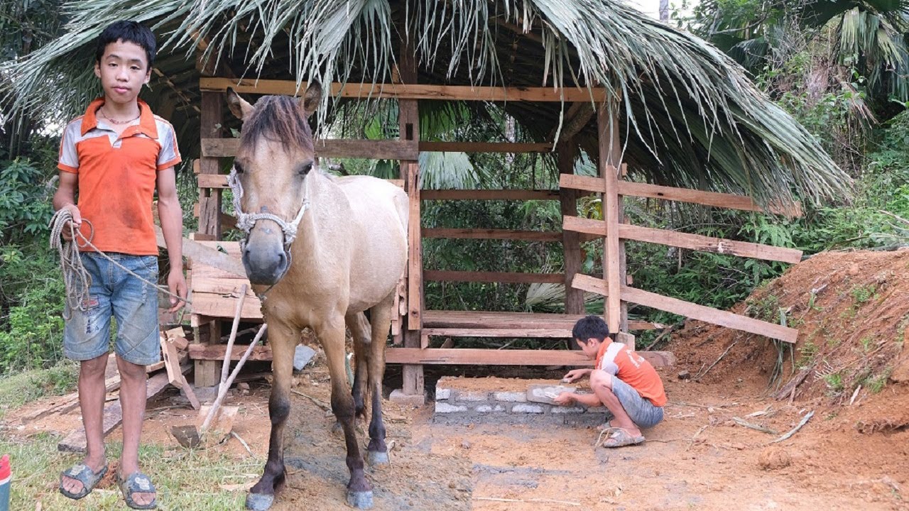 Мальчик-сирота: Достроить деревянный дом для лошади - Самостоятельная жизнь в одиночку. (серия 109)
