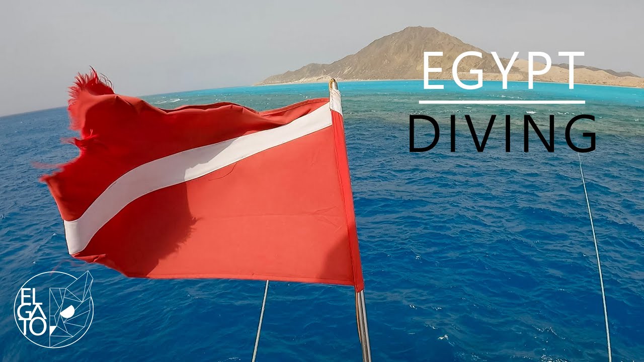 Searching for LONGIMANUS in the Red Sea - Egypt  |  DIVING