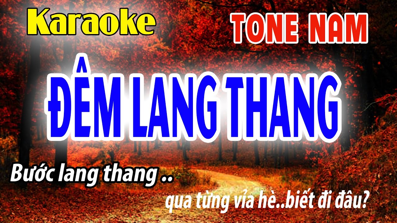 Đêm Lang Thang Karaoke Tone Nam | Gm | Đời Sống và Âm Nhạc