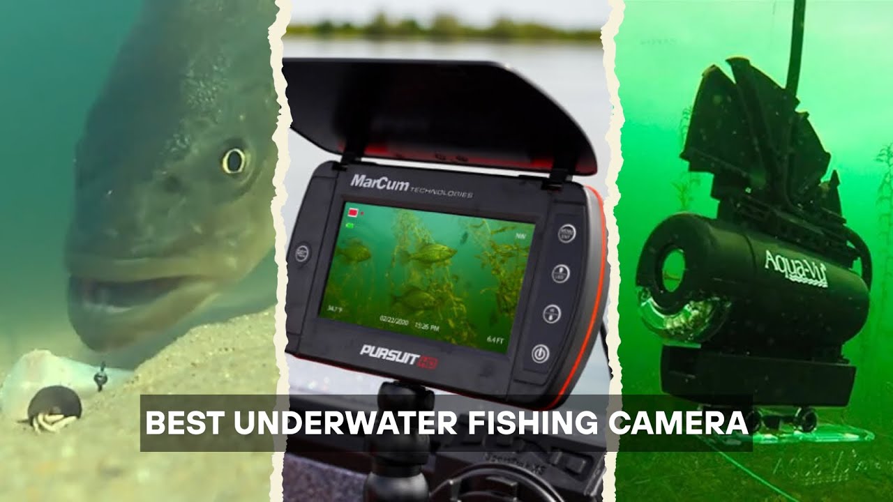 7 BEST Underwater Fishing Camera 2025! See What&rsquo;s Below