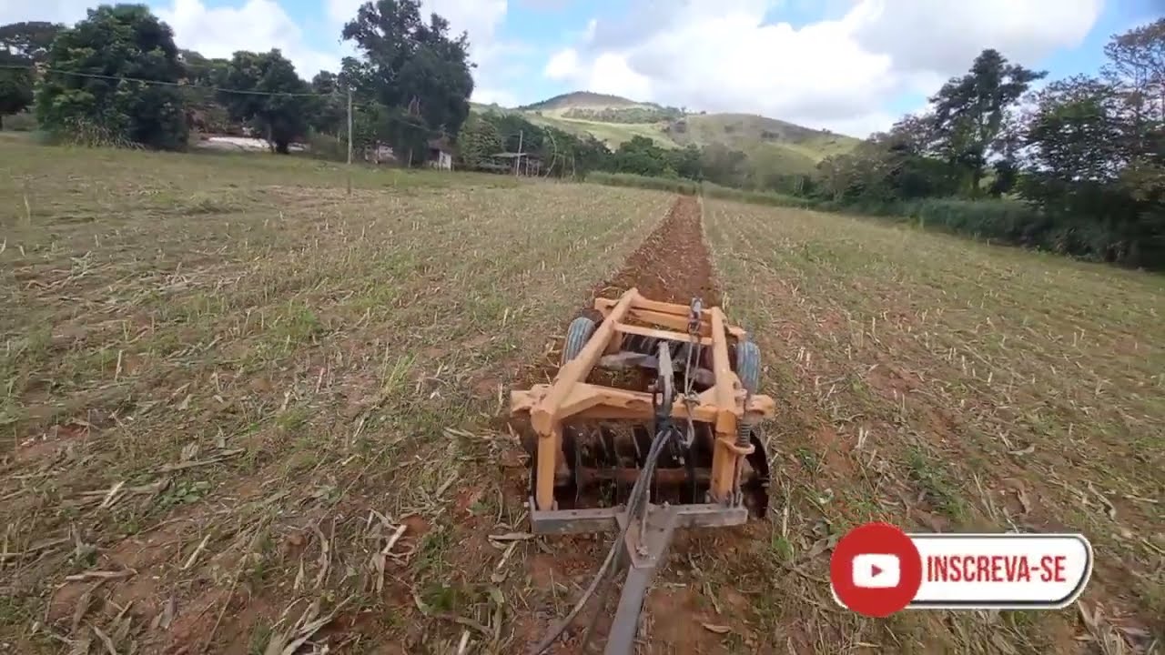 aprendendo a gradear terra abrindo eito