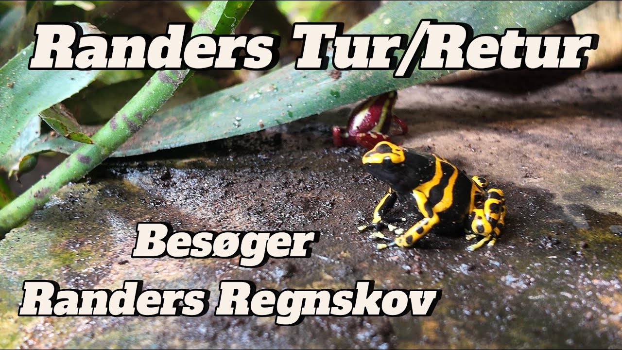 Randers regnskov Tur Retur
