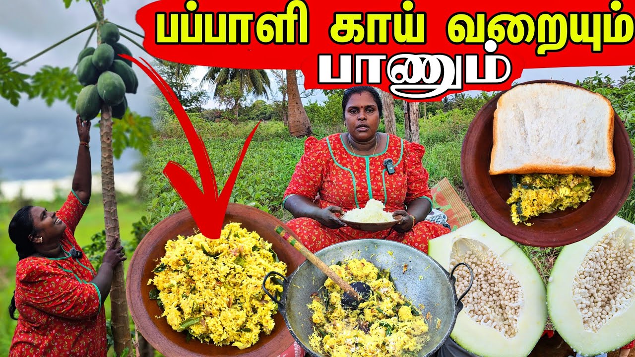 பப்பாளி காய் வறையும் பாணும் இப்படி செய்து பாருங்க | Our Village life | vanni vlog