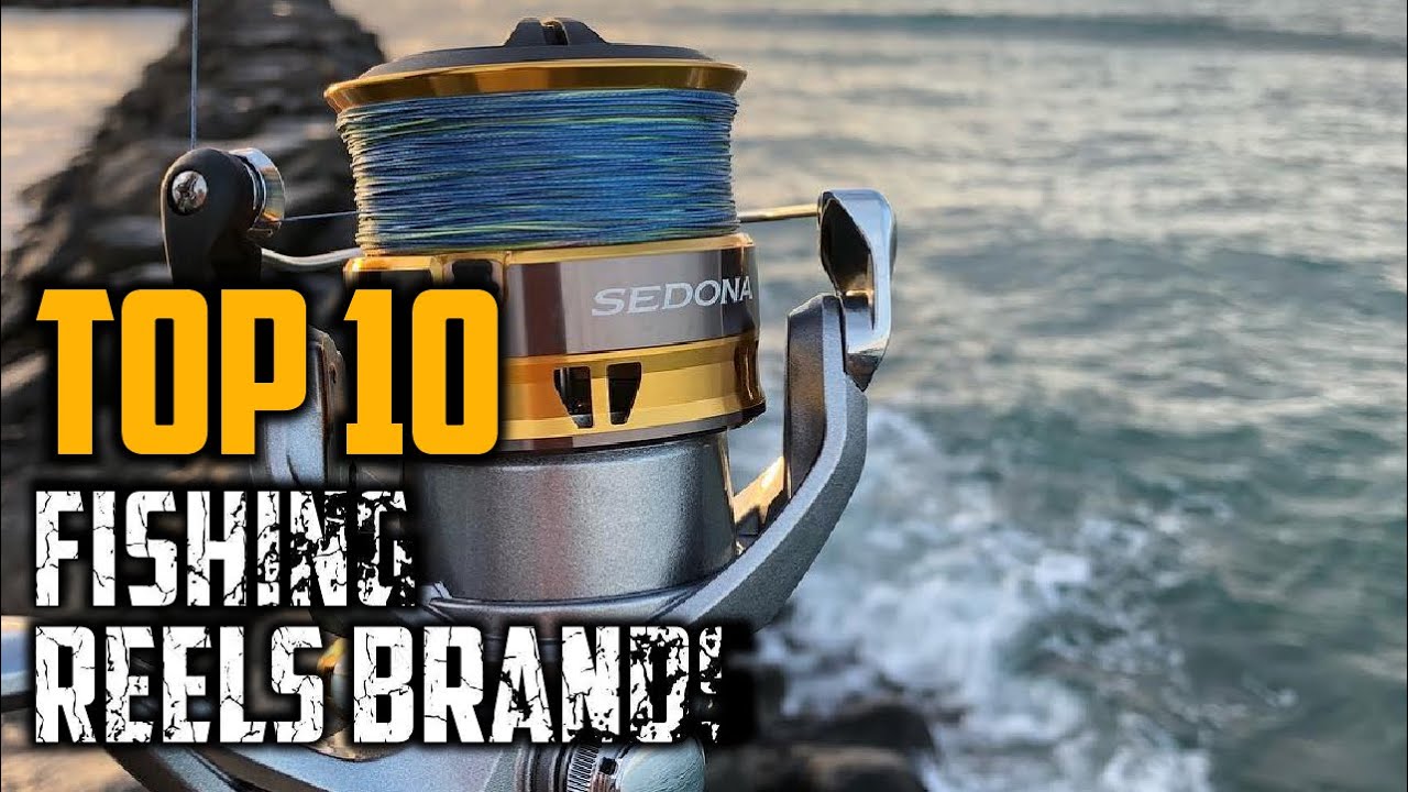 Top 10 Best Fishing Reel Brands in 2025