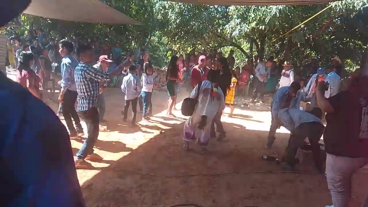 Así se baila la gente de pueblo viejo el flor de piña con candela musical 