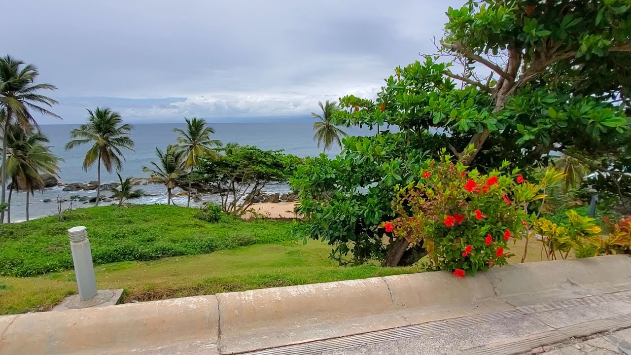 Samana Bay Residences No. 4 Construction Progress