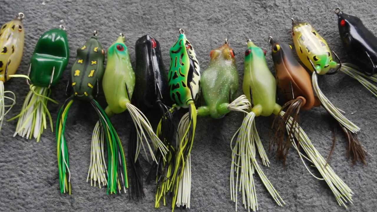 Topwater Frog Fishing for Big Bass | Best Hollow Belly Frog Setup for Thick Cover