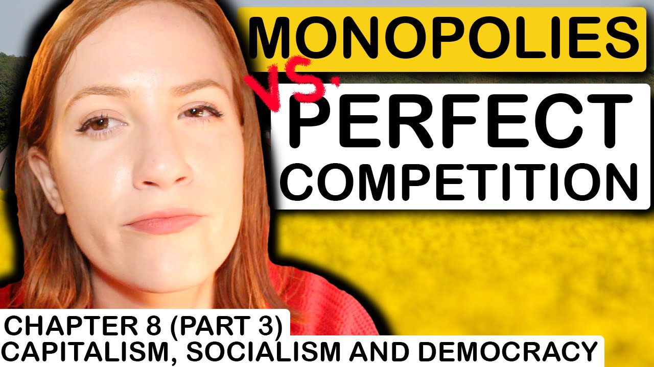 Monopolies vs. Perfect Competition (Part 3) | Chapter 8