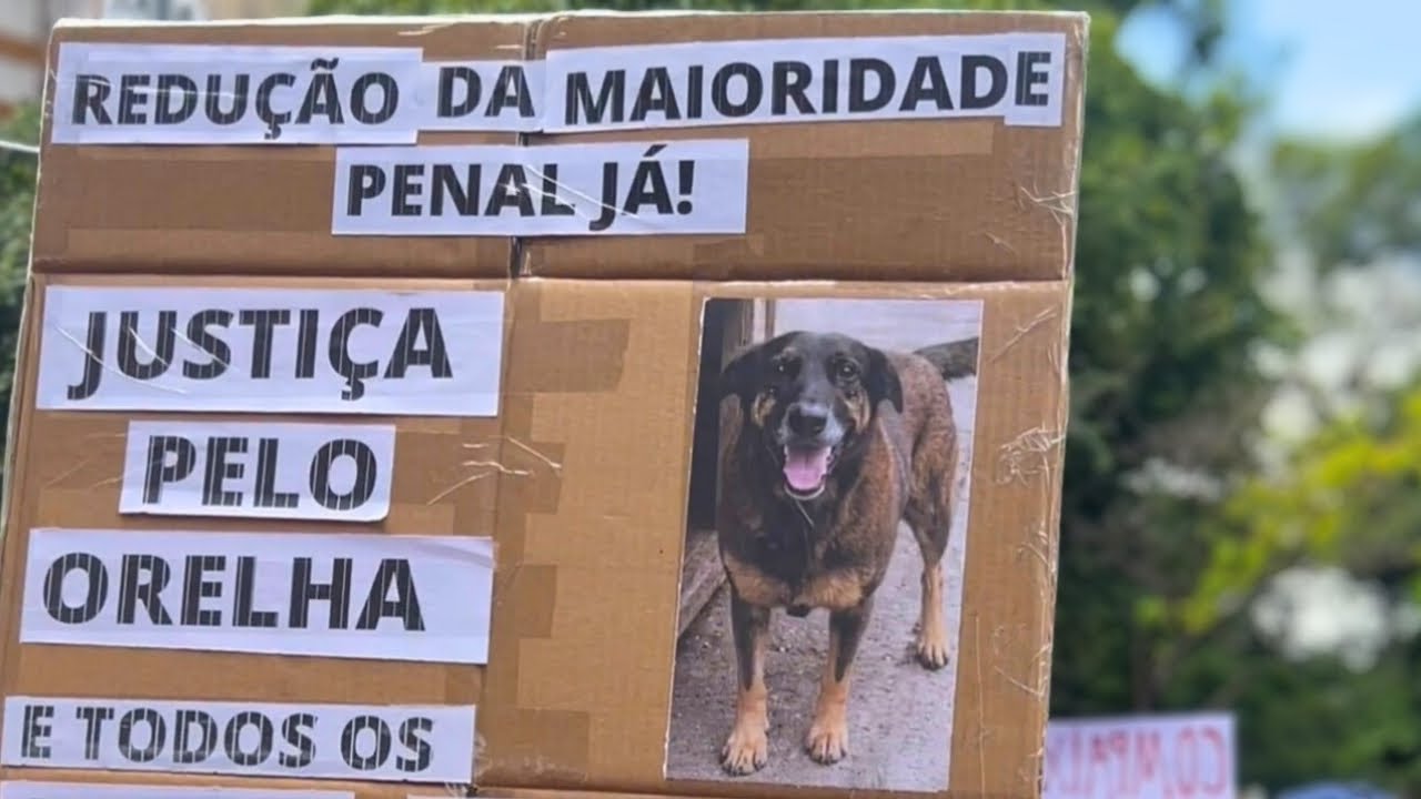NÃO IMAGINEI QUE SERIA ASSIM |VLOG