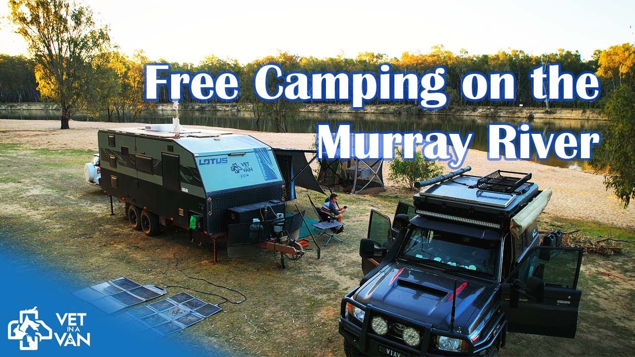Free Camping with Koalas on the Murray River!