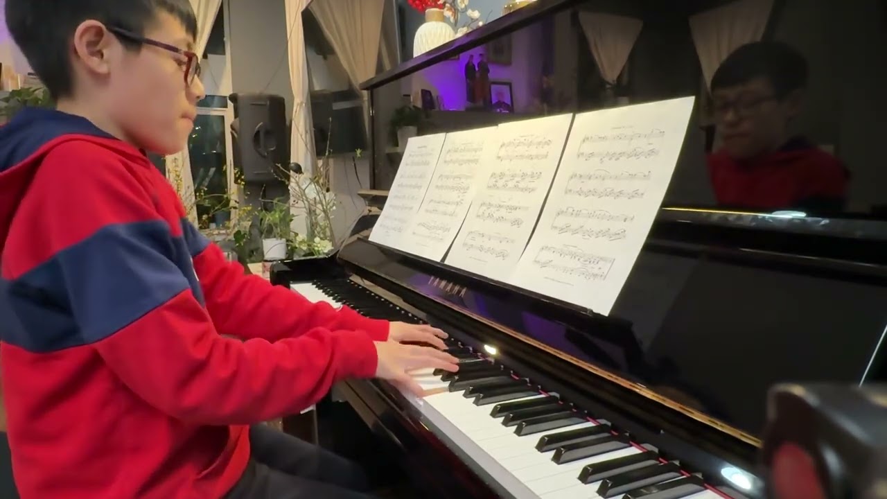 Consolation no. 2 - Franz Liszt