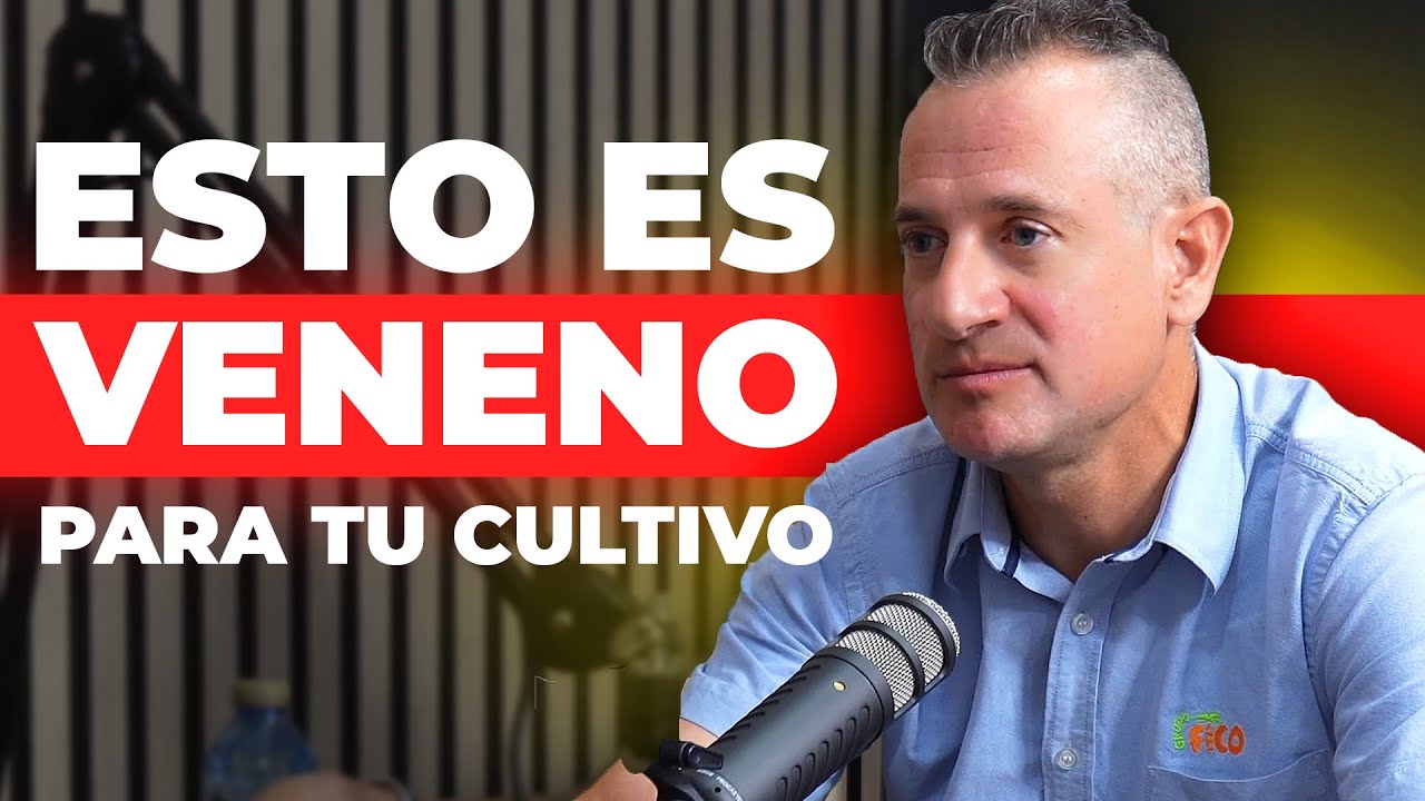 Las RAZONES POR LAS QUE LA HIDROPONIA NO HA FUNCIONADO en la AGRICULTURA DE ALMERIA, CLORO Y DRENAJE