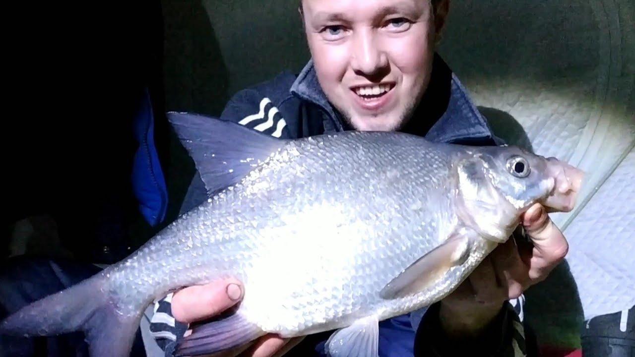 ЛЕЩ НА ВОЛГЕ Февраль 2022!!! ЗИМНЯЯ РЫБАЛКА НОЧЬЮ С КОМФОРТОМ. Обновки для зимней рыбалки! Дубна.