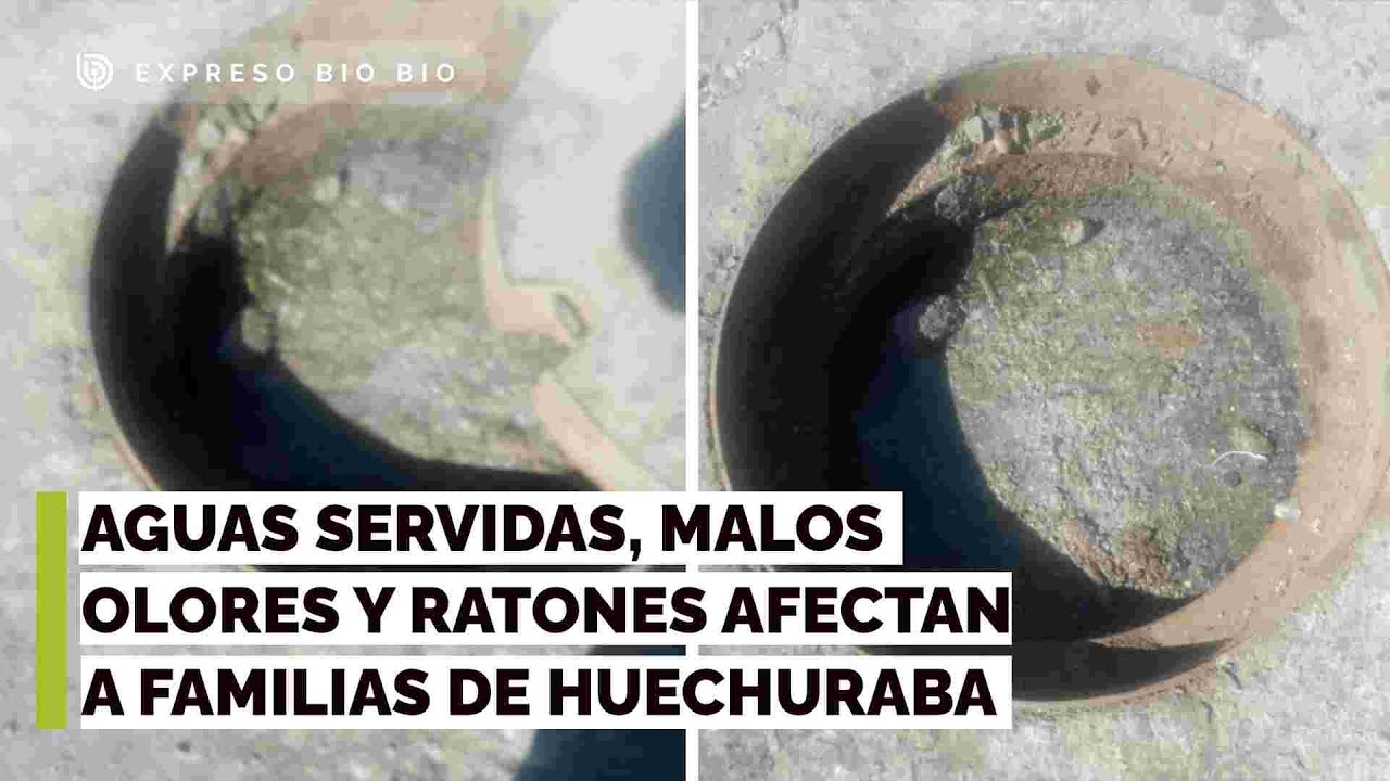Auditor denuncia aguas servidas, malos olores y ratones afectan a familias de Huechuraba