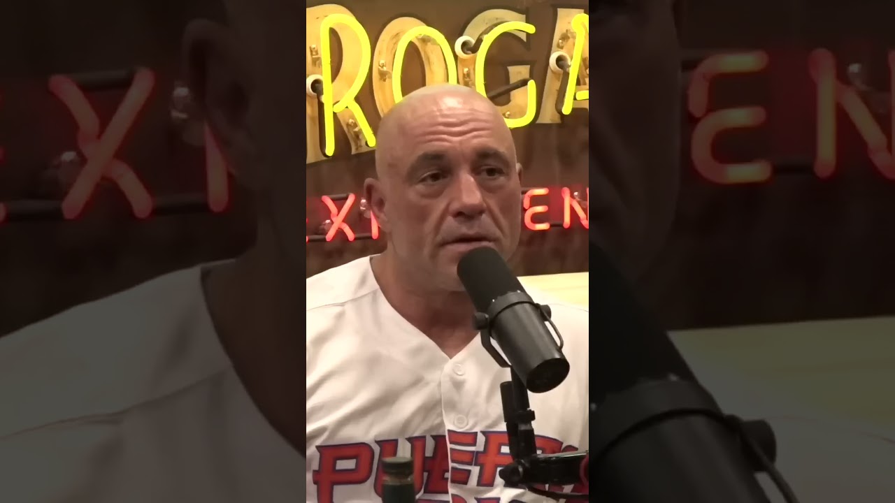 Is Civilization Just a Blip in Earth's Timeline? &ndash; Joe Rogan & Elon Musk#joeroganpodcast