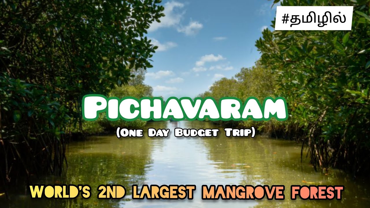 Pichavaram - World's 2nd Largest Mangrove Forest | Travel Vlog | Bike Trip | Wander With RR |