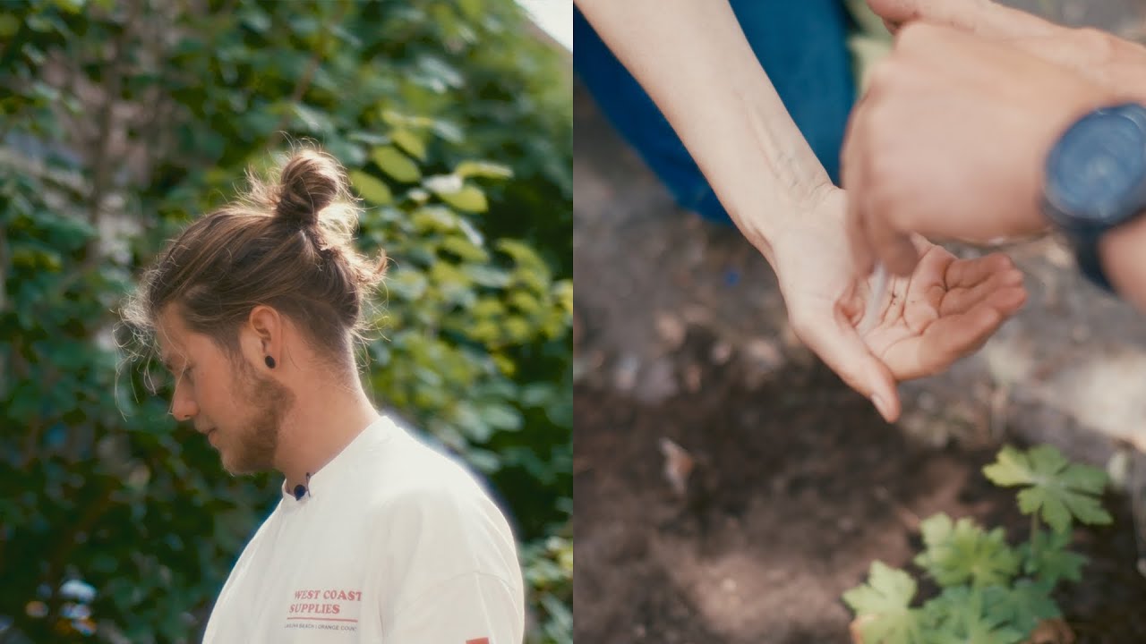 Two passionate guerrilla gardeners on a mission to transform cities into lush oases 🌱 🌃 | Imagine5
