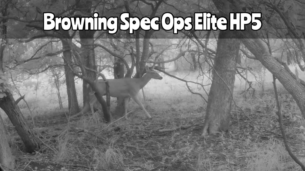 Browning Spec Ops Elite HP5 Trail Camera July 17- Aug. 7, 2024