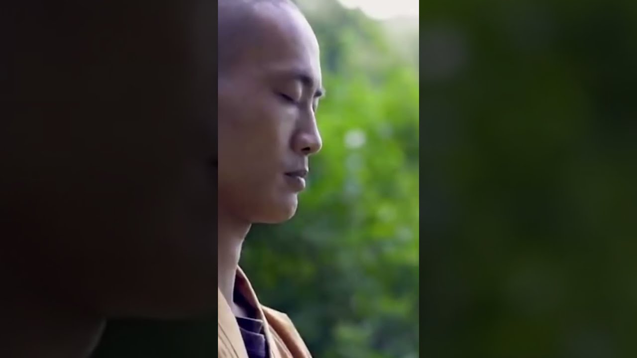 Don't Pull or Don't Push, Just Let It Be - Shi Heng Yi (Spirituality, Clarity)