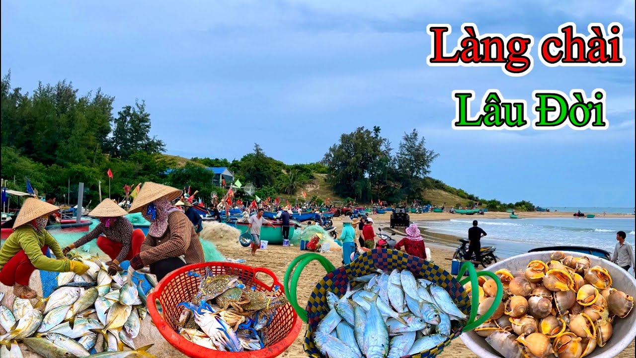 Nhiều Cá Ghẹ Ốc Hải Sản Tươi Ngon Giá Rẻ Ở Làng Lâu Đời Ở Vùng Biển Khu Lê | P 415