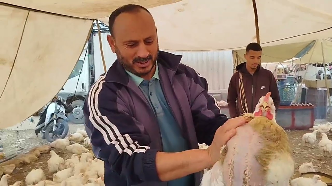 منتوج رائع واتمنةمخلفة مع رشيد السبع جولة في السوق الاسبوعي لمدينة اليوسفية