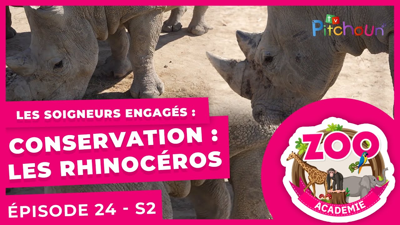 Les soigneurs engagés : Conservation : Les rhinocéros - épisode 24 - Zoo Académie Saison 02