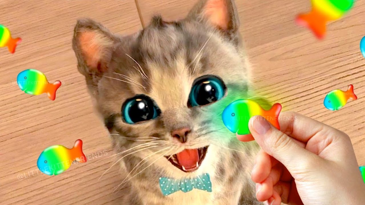 Cute Cat’s Summer Adventure to Kitten’s Birthday! ✨🐱🎈 Funny Animals stories with Crumbs