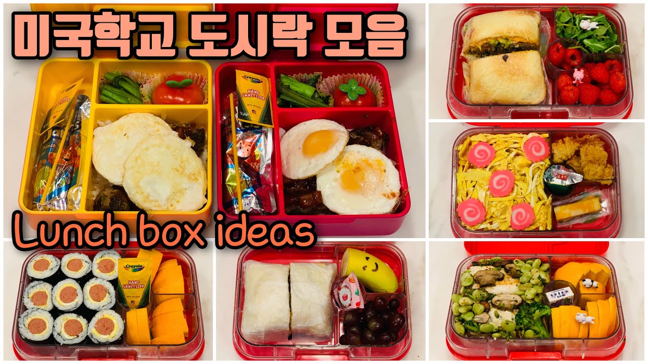 🇺🇸미국학교 도시락 만들기 모음(6)Lunchbox Ideas/도시락반찬 고민이신분은 영상참고하세요Korean Lunch Box/Korean Mom’s Home Cooking