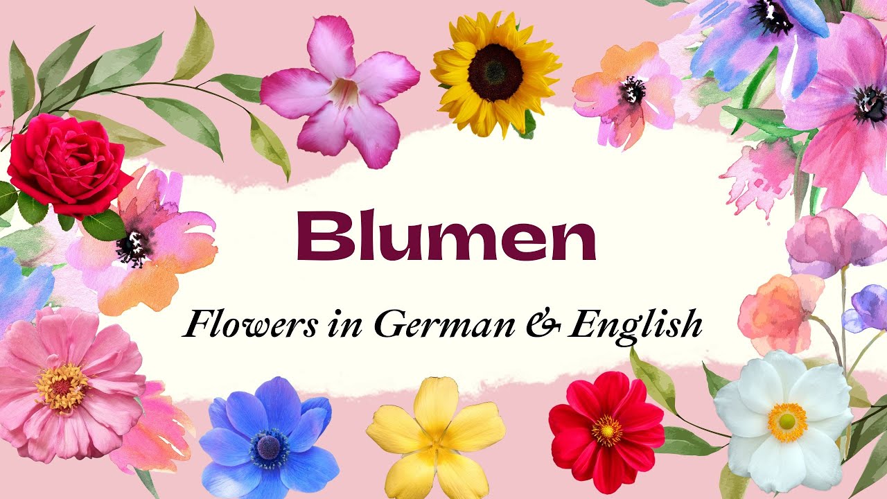 Blumen - Flowers in German & English