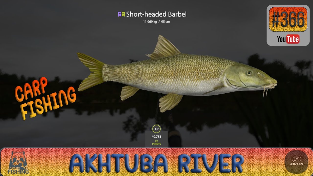 Russian Fishing 4 - Akhtuba River - Carp Fishing - #366