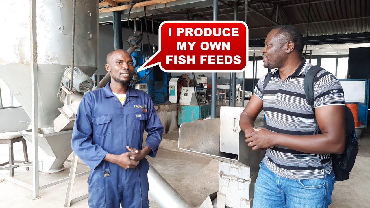I produce my own fish feeds for my aquaculture business (Nigeria)