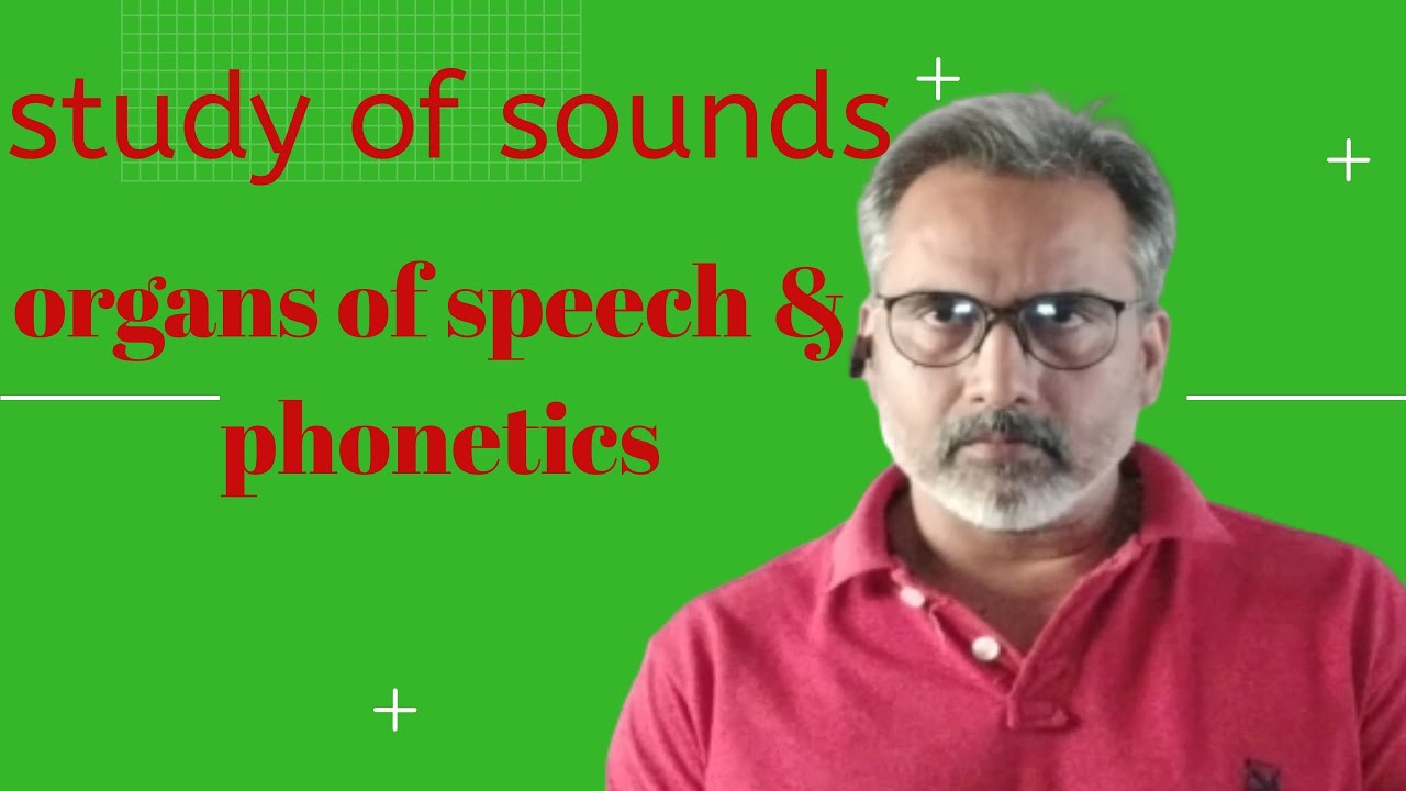 Phonetics | study of sounds