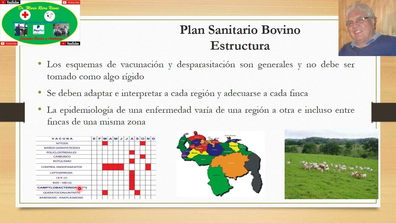 Plan Sanitario Bovino para Enfermedades Infecciosas: Introducción