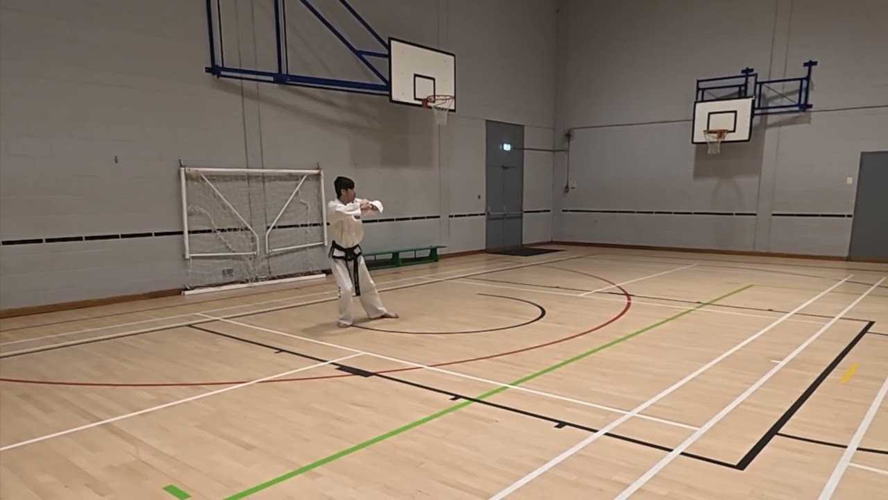 ITF Taekwon-Do | Black Belt Pattern | Po Eun Tul | Oscar Ta