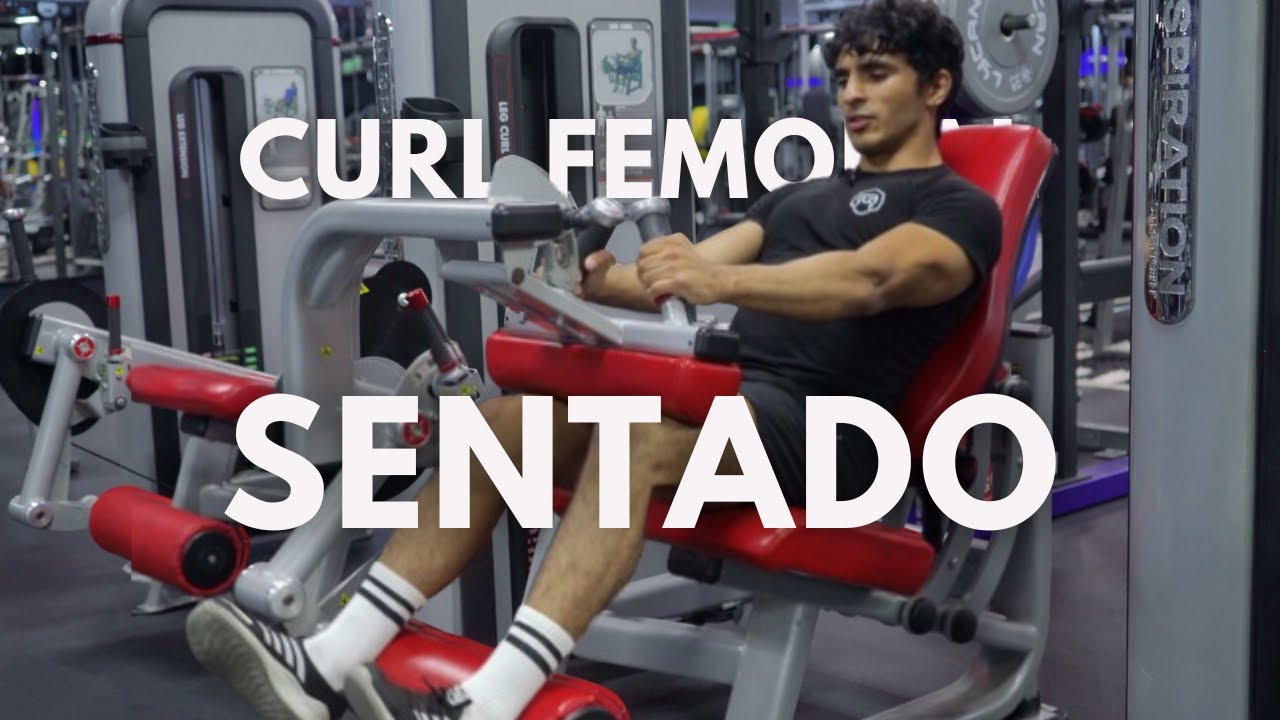 Curl femoral sentado