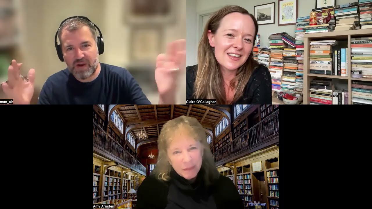 TRALF talk — Amy Arnsten 19th February 2026