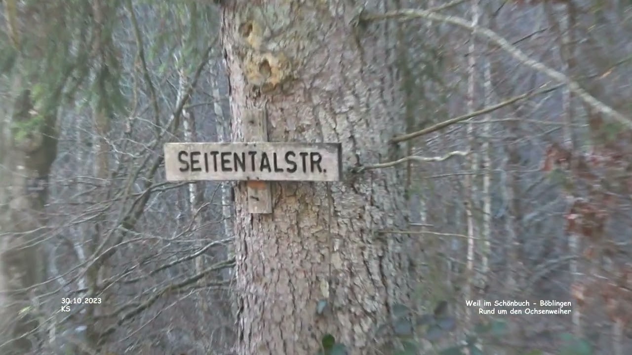 Wanderung rund um den Ochsenweiher - Weil im Schönbuch - Böblingen