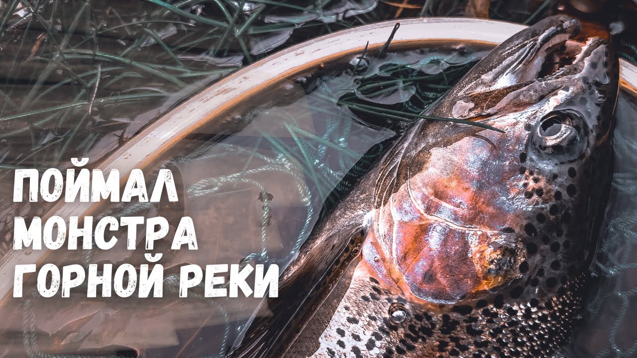 ФОРЕЛЕВАЯ РЫБАЛКА В ГОРАХ ТУРЦИИ! Монстр горной реки на ультралайт. Рыбалка в Турции 2023. Эпизод 1