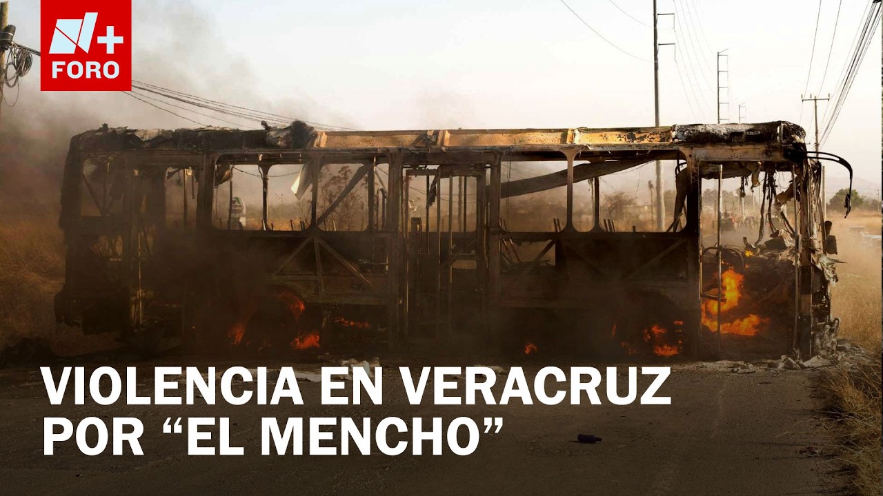 Violencia por 