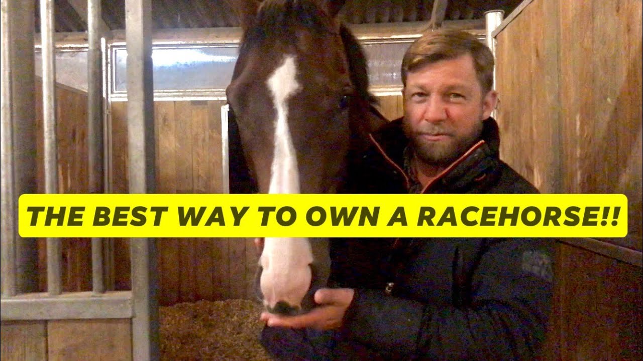 Newmarket Racehorse Trainer, Martin Smith talks about owning a racehorse with a Private Partnership