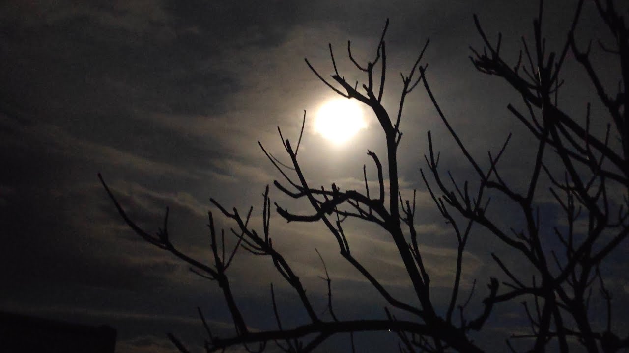 اصبحنا واصبح الملك لله🧘🏻🙏