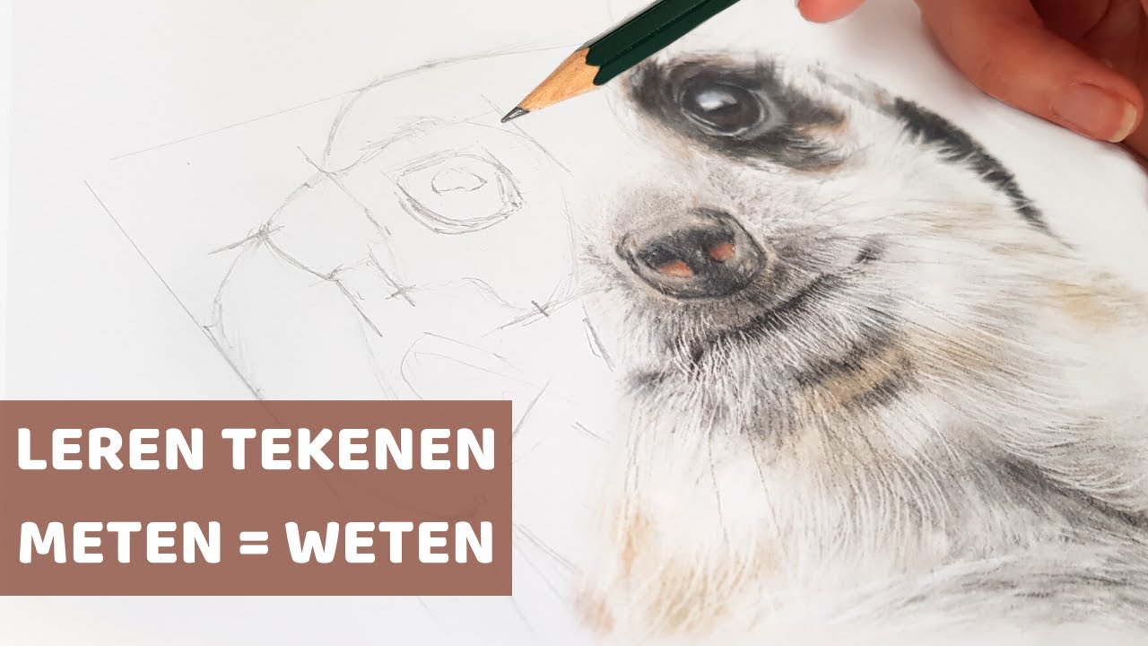 Tekenen voor beginners: DE MEETMETHODE (stap voor stap tutorial)
