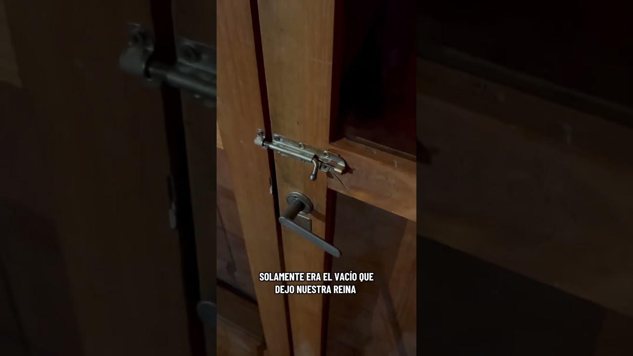 Escucho a ZORRITA en todos lados 🤯🤯🤯